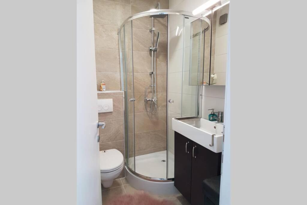 Living Home, Apartament Cu Doua Dormitoare Si Doua Bai Cisnădie 外观 照片